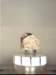 meteorit_c11_rfb_rfb_small.jpg