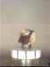 meteorit_c9_rfb_rfb_small.jpg