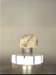 meteorit_i1_rfb_rfb_small.jpg