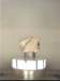 meteorit_i3_rfb_rfb_small.jpg