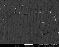 c6_02_small.jpg
