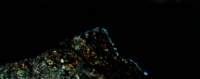 xpubpanorama8_small.jpg
