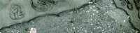 reflpanorama8_small.jpg