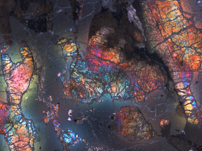 mor09c07.jpg