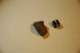 dsc_0407_small.jpg
