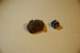 dsc_0408_small.jpg