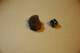 dsc_0409_small.jpg
