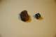 dsc_0410_small.jpg