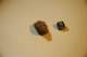 dsc_0411_small.jpg