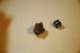 dsc_0412_small.jpg