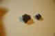 dsc_0413_small.jpg