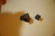 dsc_0414_small.jpg