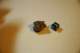 dsc_0415_small.jpg