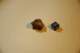 dsc_0420_small.jpg