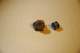 dsc_0421_small.jpg