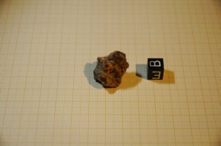 dsc_0422.jpg