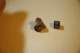 dsc_0423_small.jpg