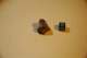 dsc_0424_small.jpg