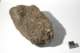 dsc_4181_small.jpg