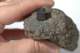 dsc_4189_small.jpg