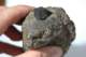 dsc_4192_small.jpg