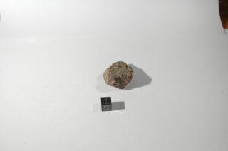 dsc_4206.jpg