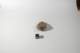 dsc_4206_small.jpg