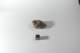 dsc_4210_small.jpg