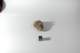 dsc_4216_small.jpg