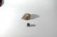 dsc_4217_small.jpg