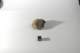 dsc_4218_small.jpg