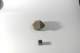 dsc_4219_small.jpg