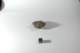 dsc_4220_small.jpg