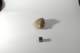 dsc_4222_small.jpg