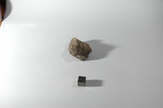dsc_4224.jpg