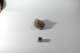 dsc_4224_small.jpg