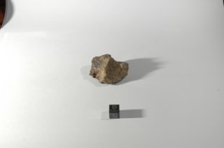 dsc_4225.jpg