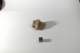 dsc_4225_small.jpg