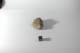 dsc_4226_small.jpg