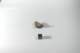 dsc_4227_small.jpg