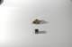 dsc_4228_small.jpg