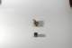 dsc_4229_small.jpg