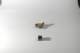 dsc_4230_small.jpg