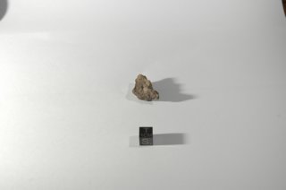 dsc_4231.jpg