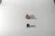 dsc_4231_small.jpg