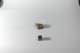 dsc_4233_small.jpg