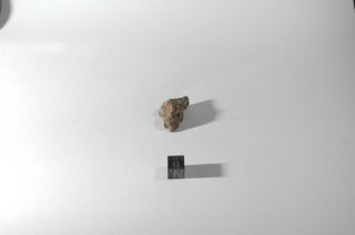 dsc_4234.jpg
