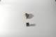 dsc_4236_small.jpg