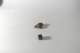 dsc_4237_small.jpg