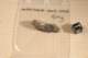 img20080217215345_small.jpg